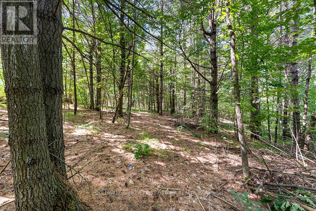 115 DORAN ROAD