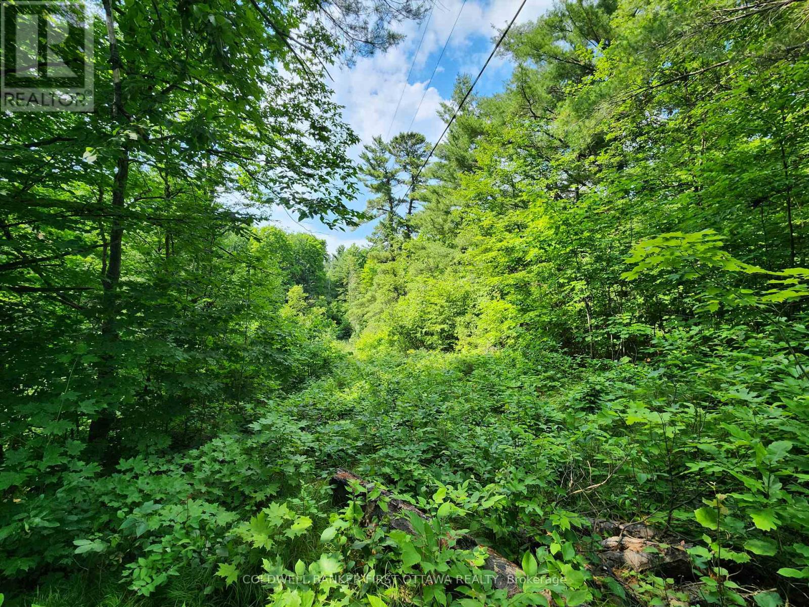 115 DORAN ROAD