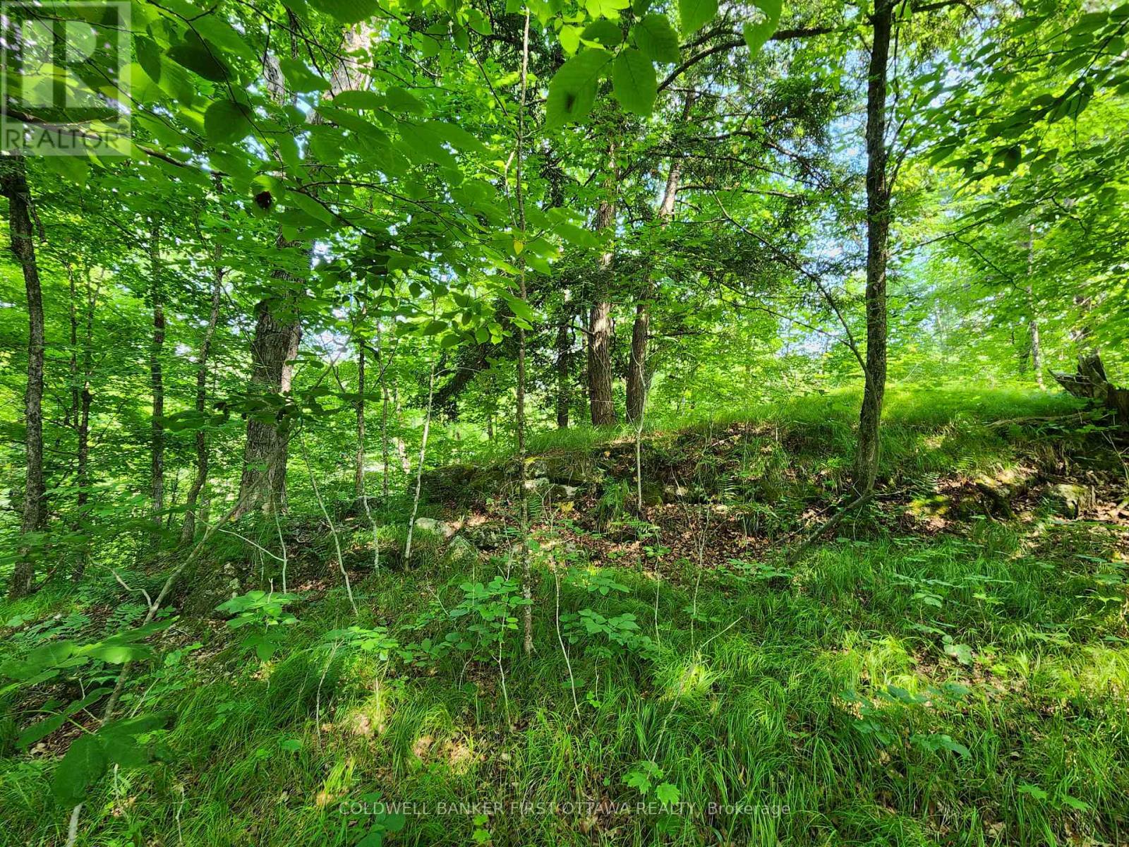 115 DORAN ROAD