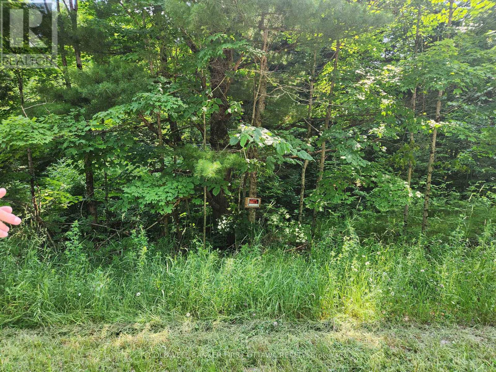 115 DORAN ROAD