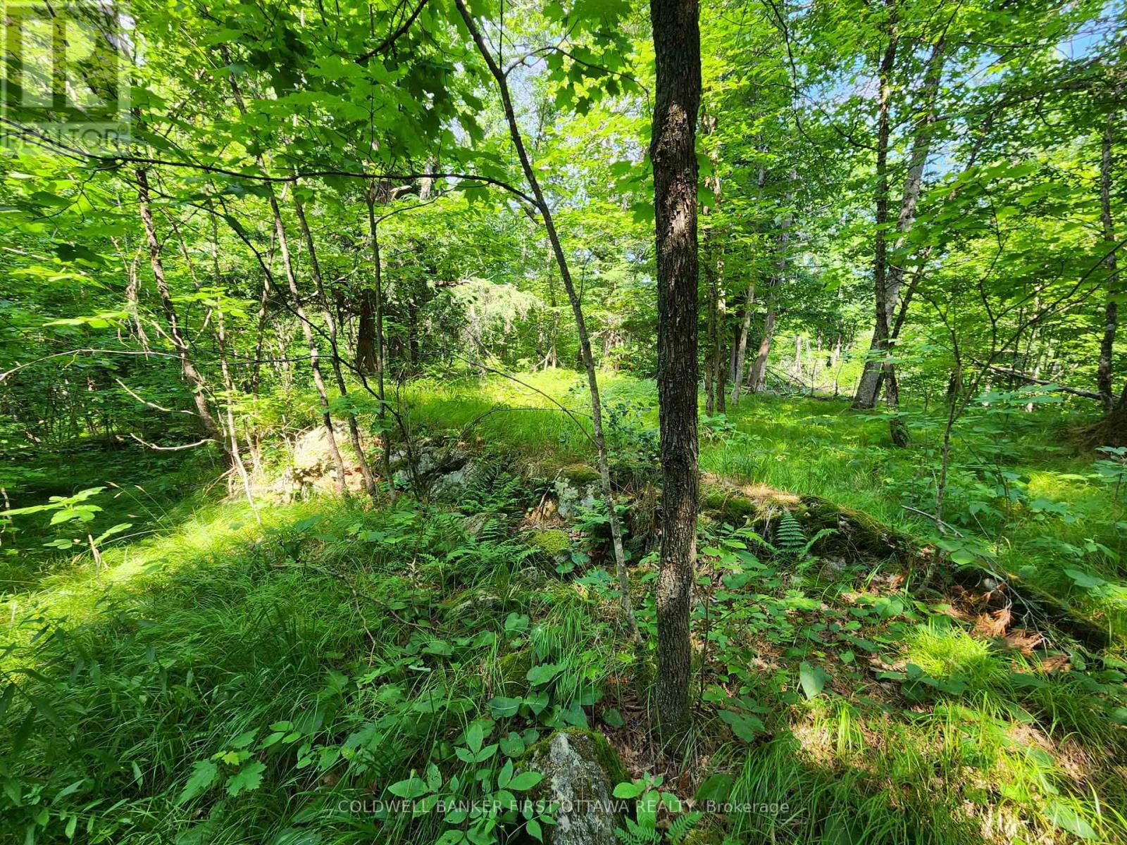 115 DORAN ROAD