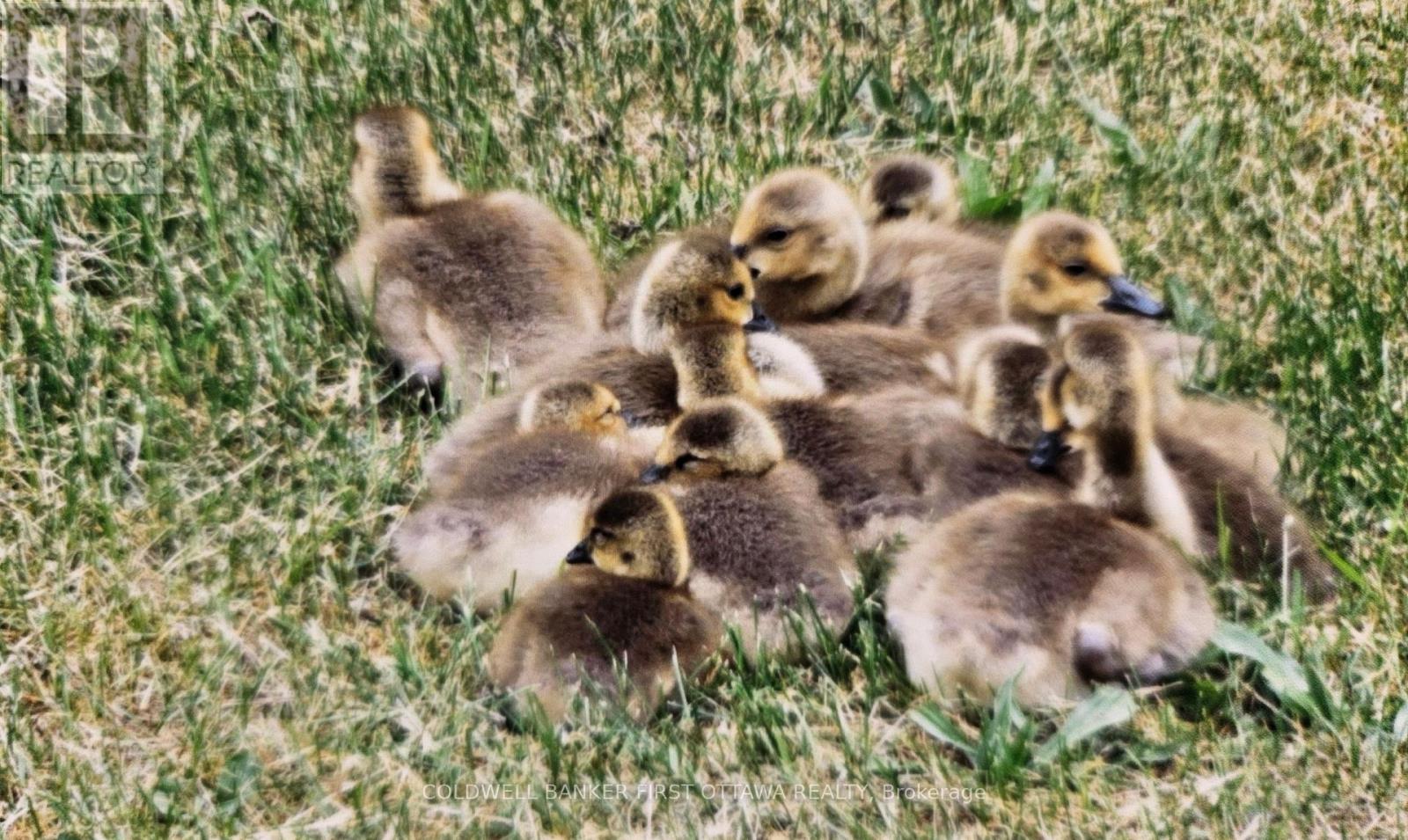 9252 HIGHWAY 511 ROAD