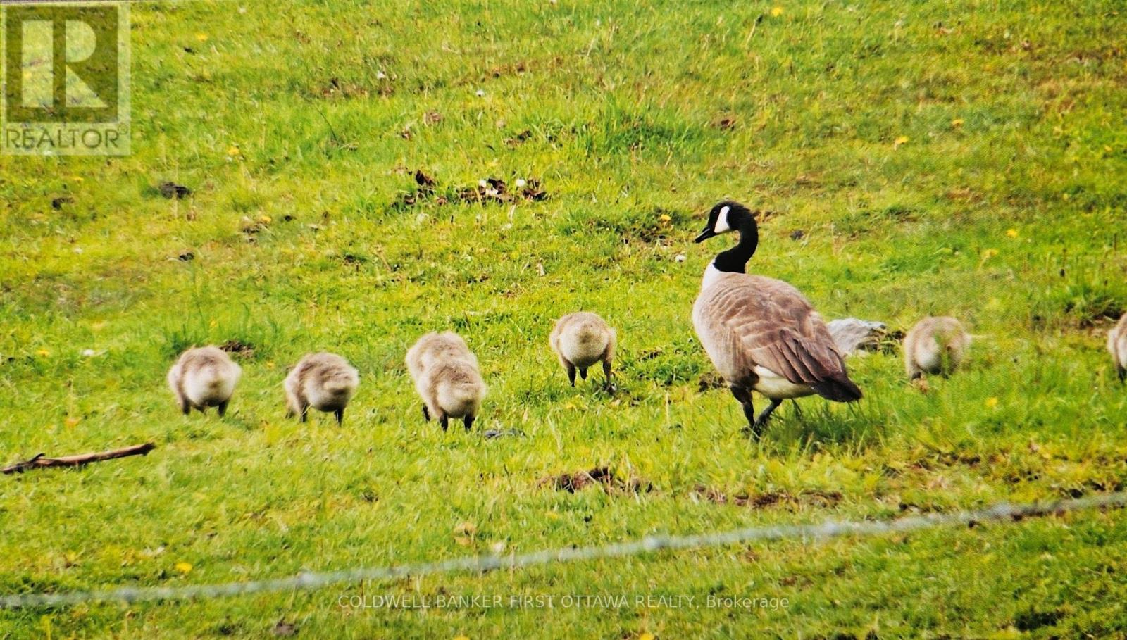 9252 HIGHWAY 511 ROAD