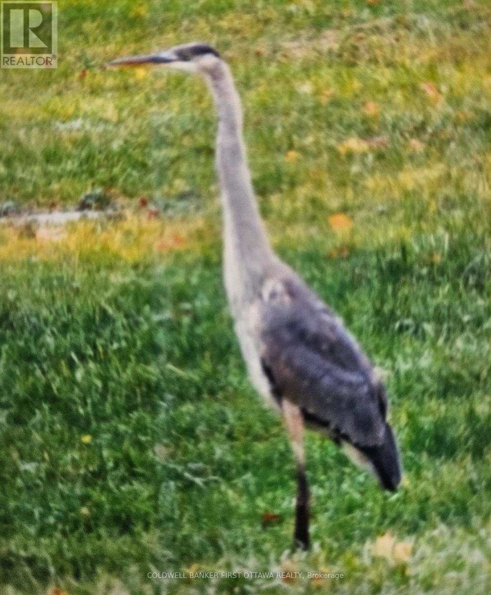 9252 HIGHWAY 511 ROAD