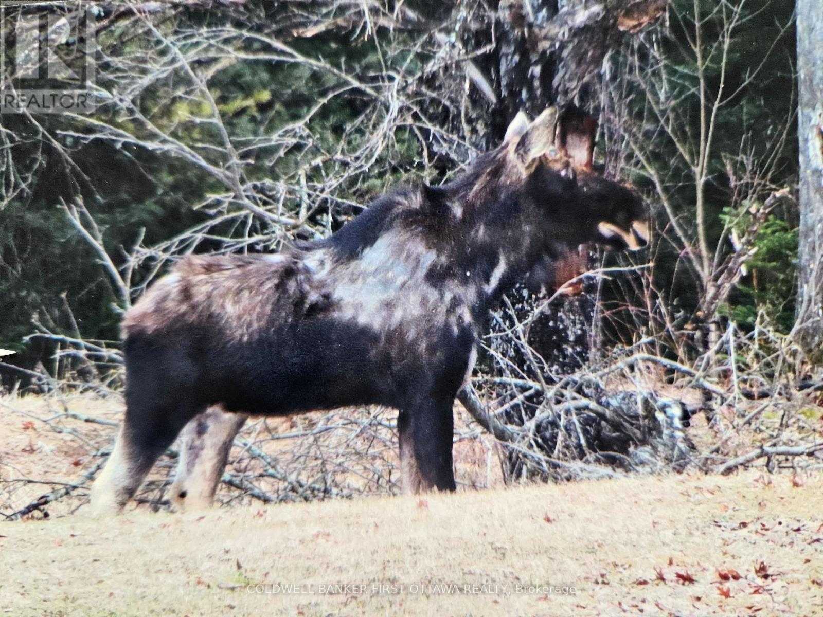 9252 HIGHWAY 511 ROAD