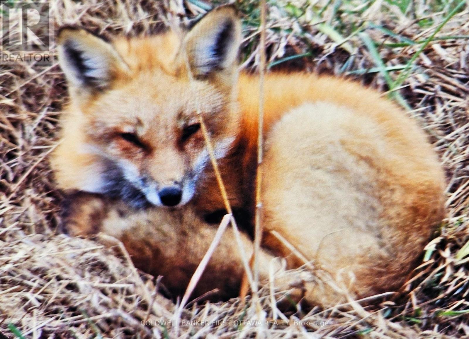 9252 HIGHWAY 511 ROAD