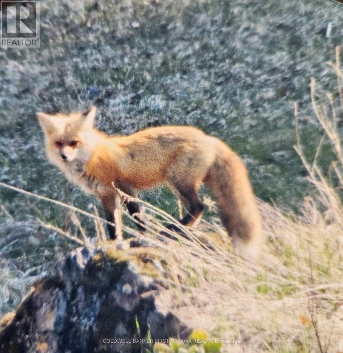 9252 HIGHWAY 511 ROAD