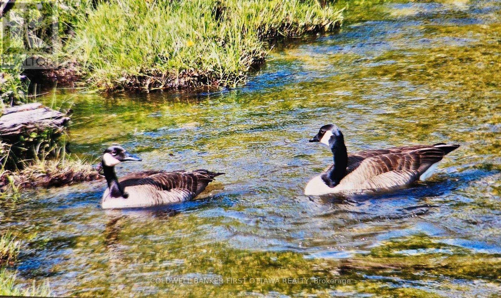 9252 HIGHWAY 511 ROAD