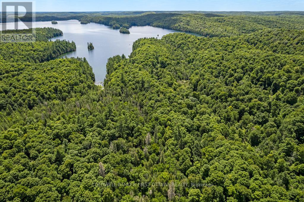 000 PALMERSTON LAKE