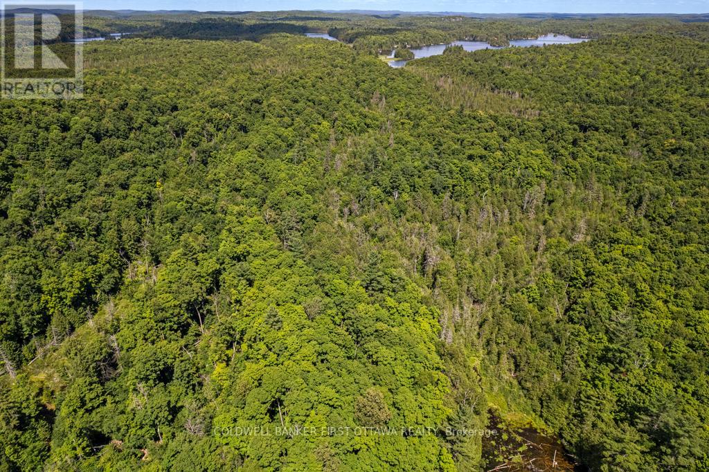 000 PALMERSTON LAKE