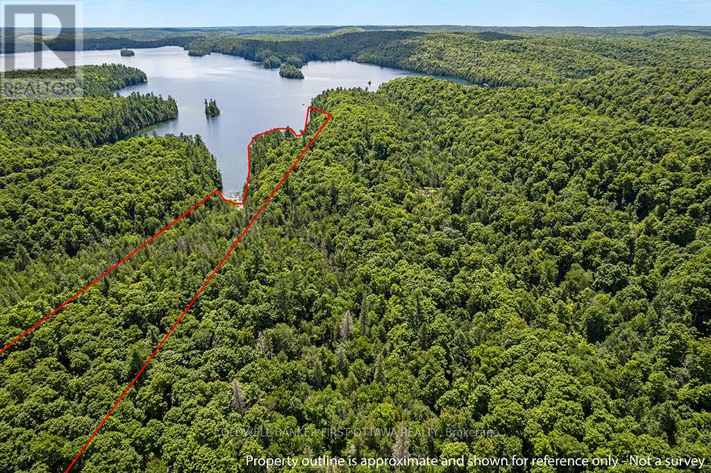 000 PALMERSTON LAKE