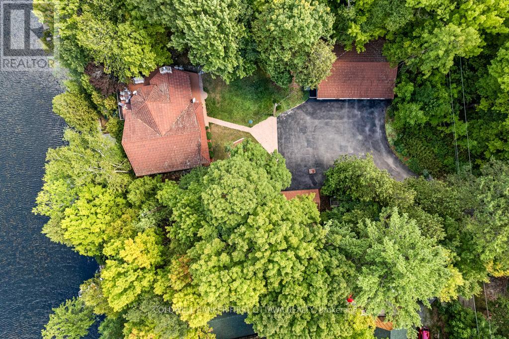 1031 SHANNY BEAR LANE