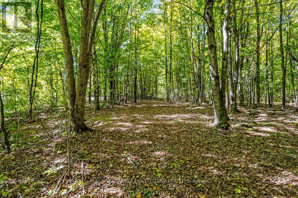 4788B BRITON HOUGHTON BAY ROAD