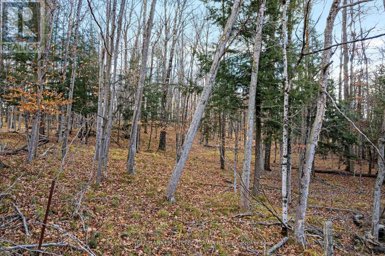 PT 1-00 HERRON MILLS ROAD