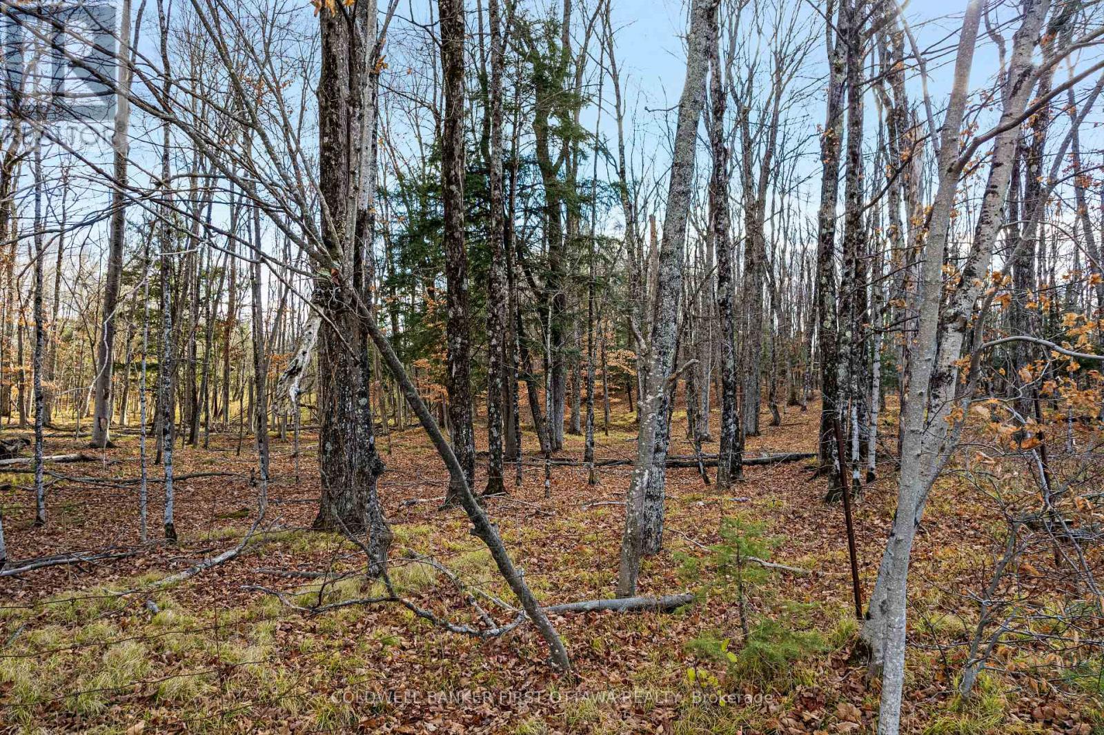 PT 1-00 HERRON MILLS ROAD