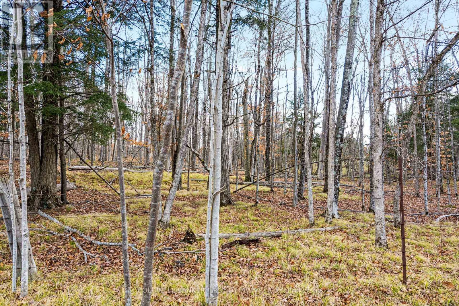 PT 2-00 HERRON MILLS ROAD