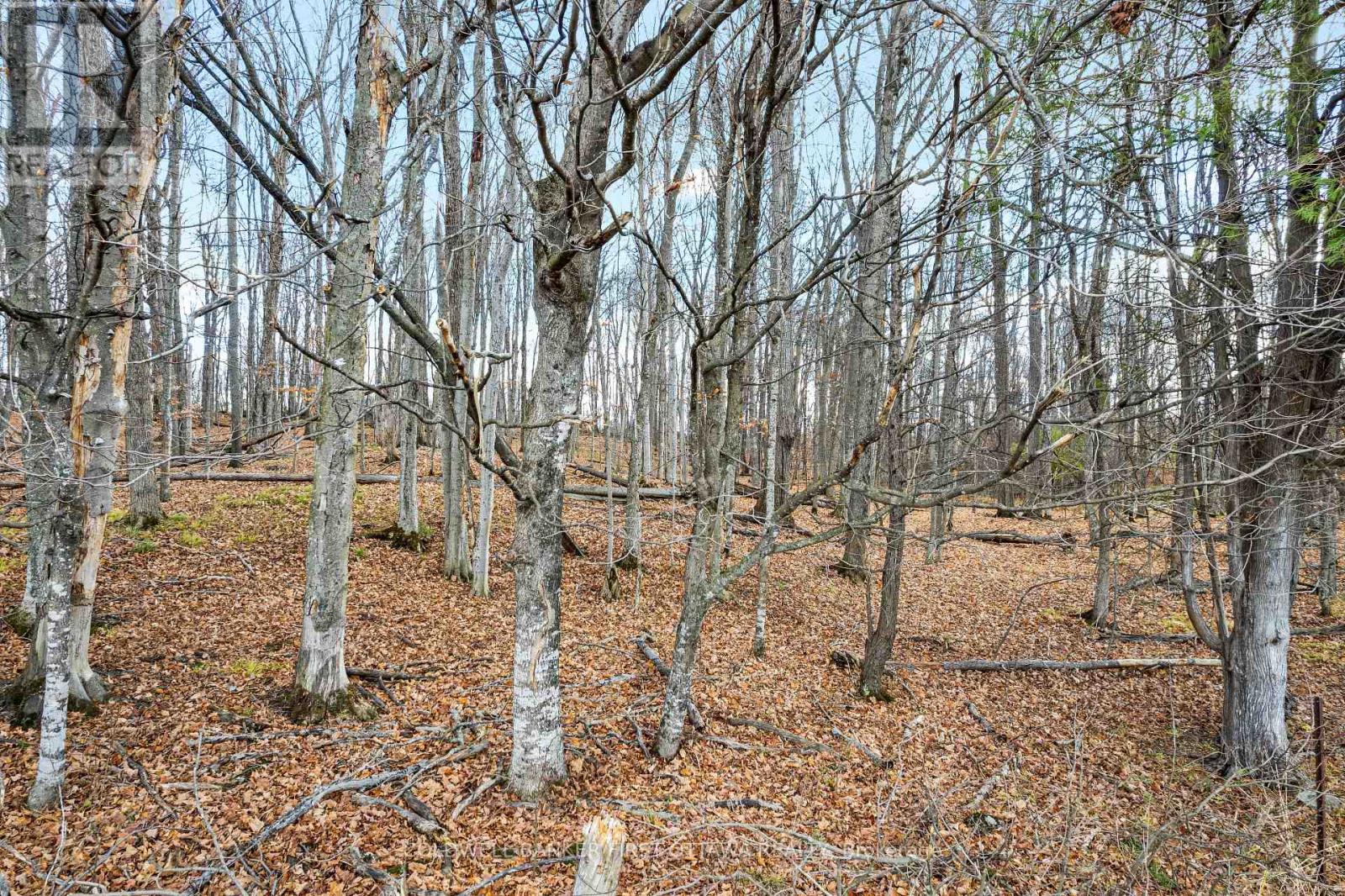 PT 2-00 HERRON MILLS ROAD