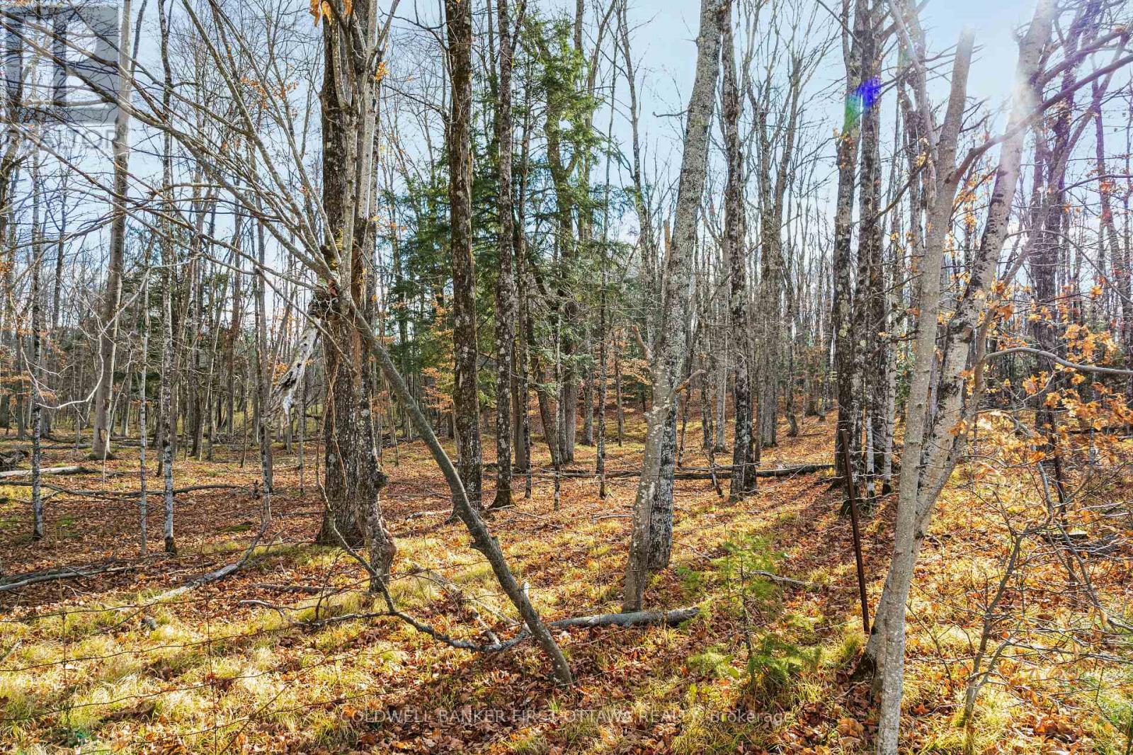 PT 2-00 HERRON MILLS ROAD