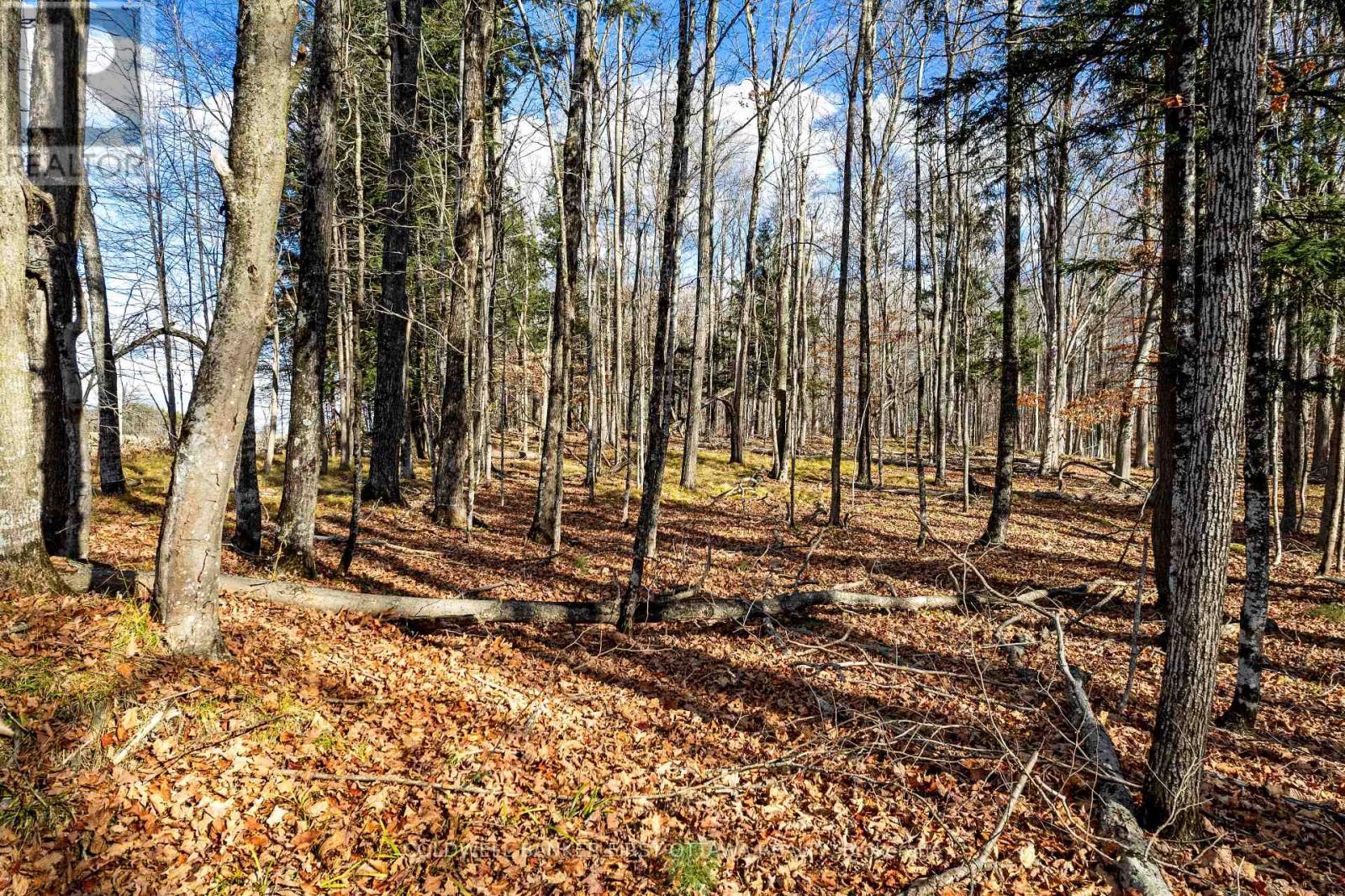 PT 3-00 HERRON MILLS ROAD