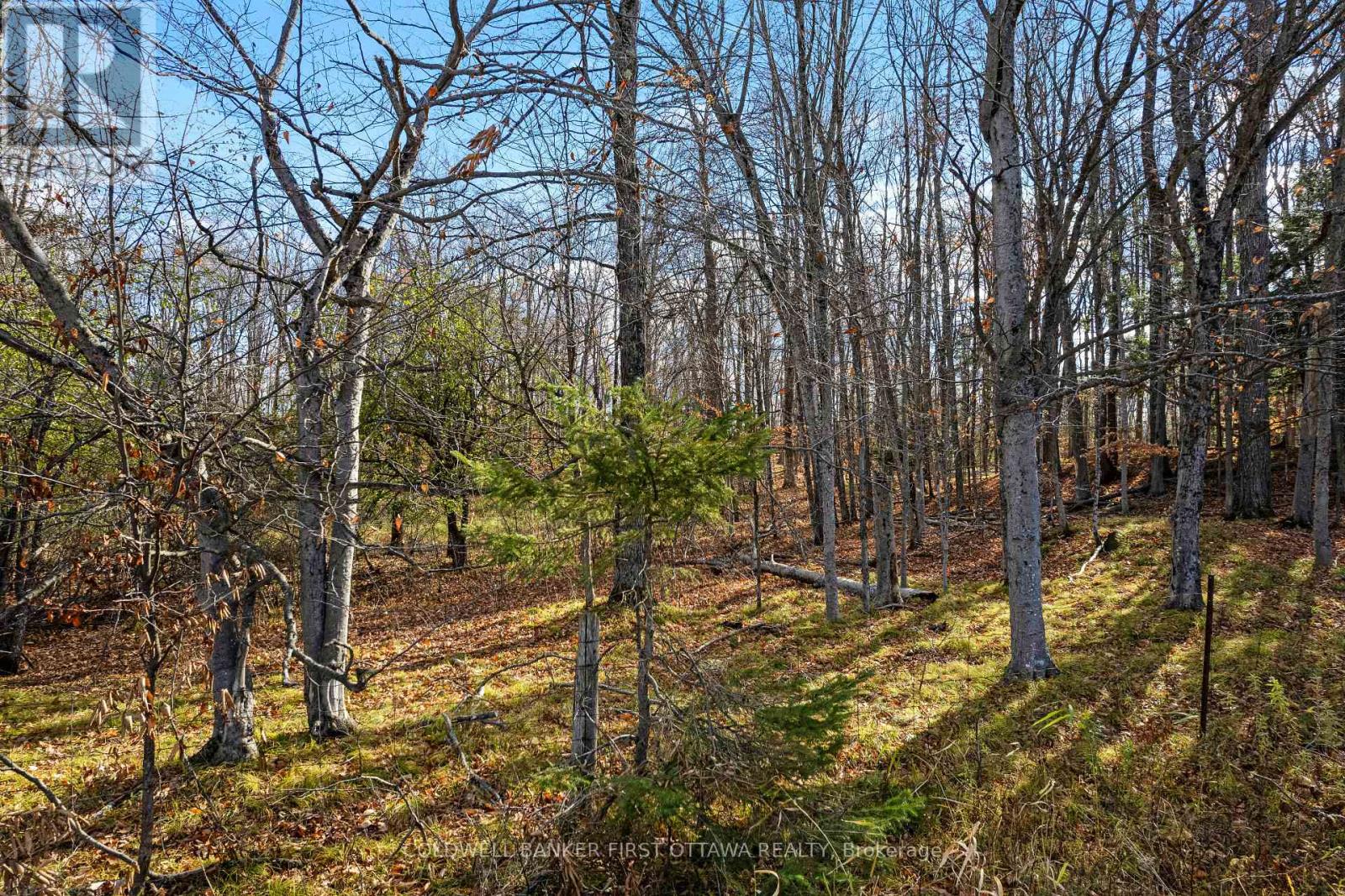 PT 3-00 HERRON MILLS ROAD