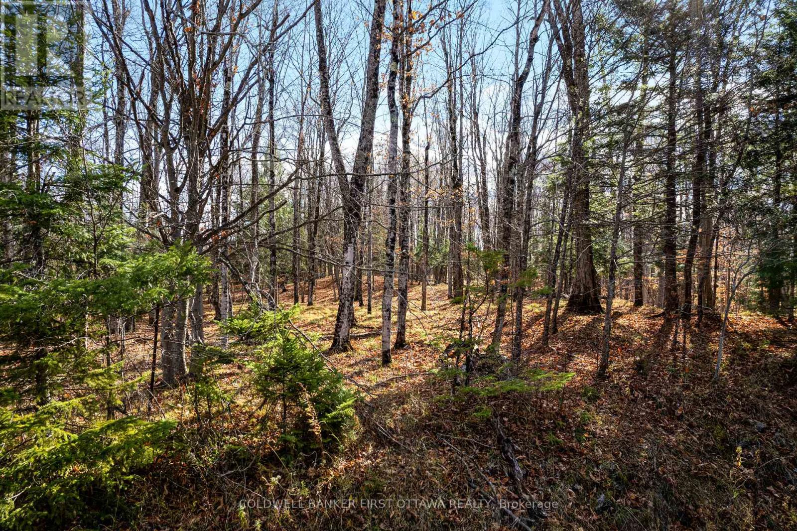 PT 3-00 HERRON MILLS ROAD