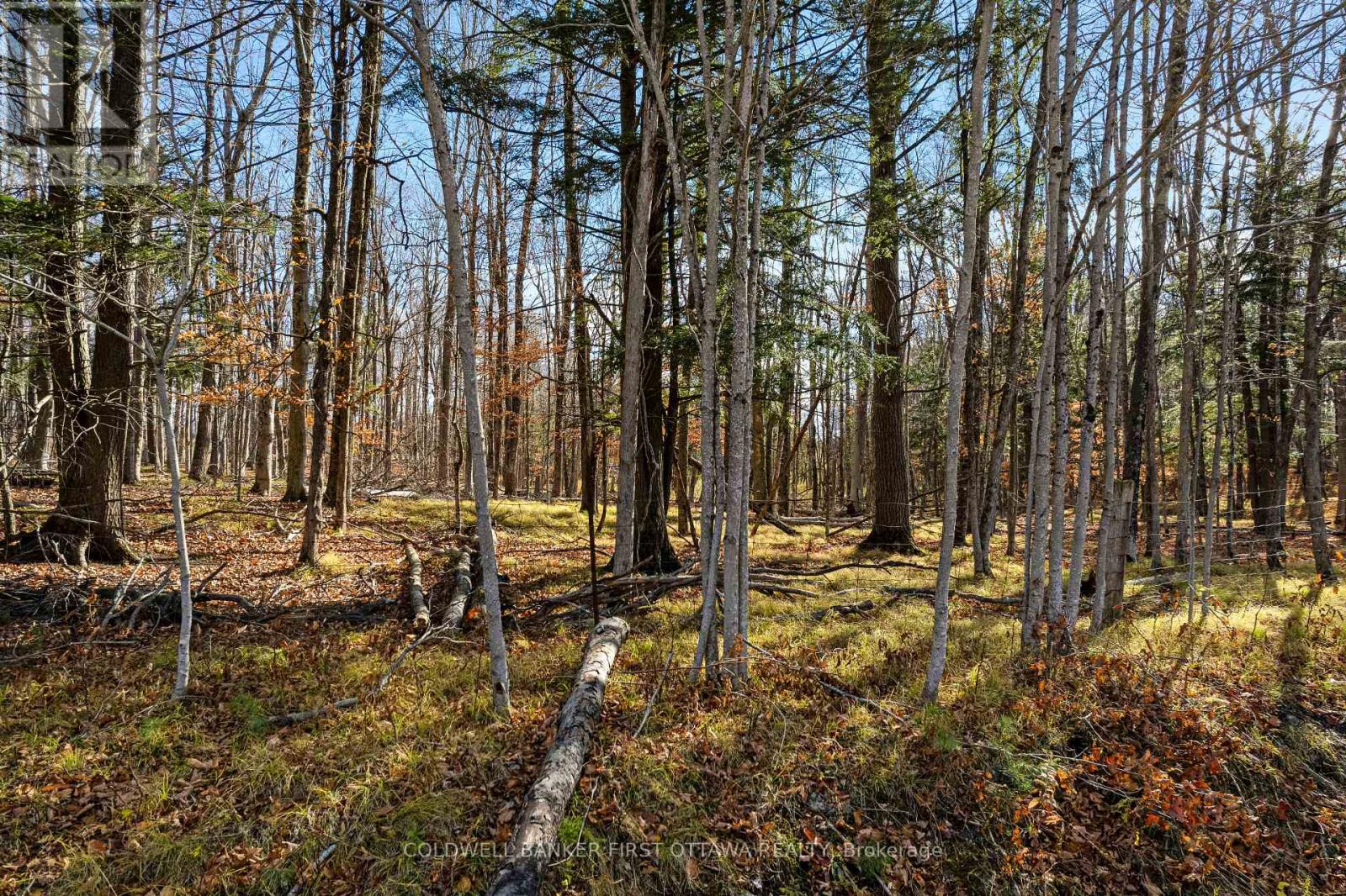 PT 3-00 HERRON MILLS ROAD