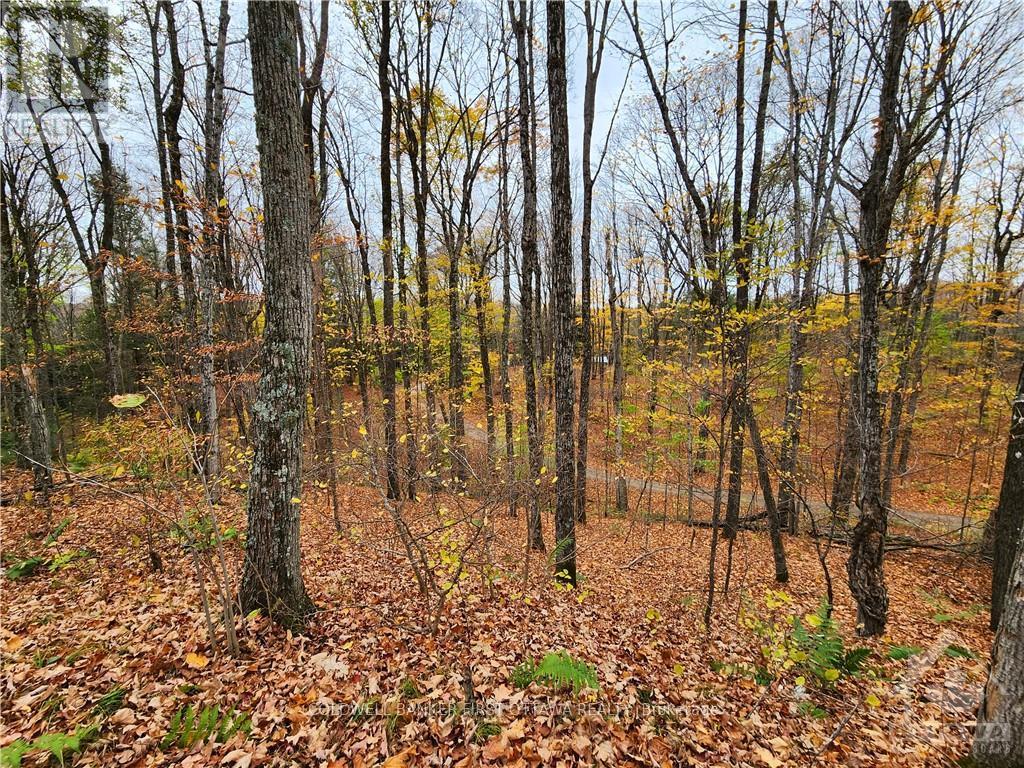 1140 SWAUGERS CREEK LANE