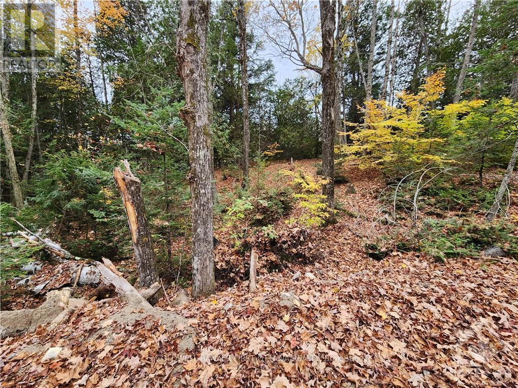 1140 SWAUGERS CREEK LANE