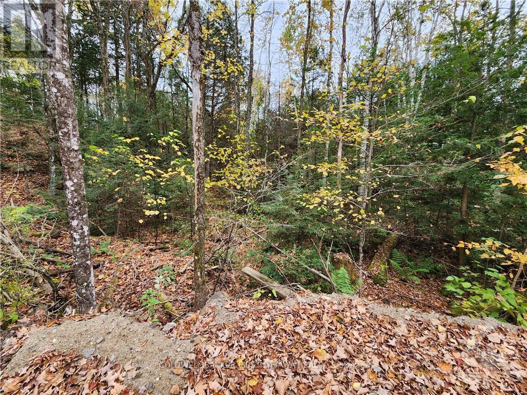 1140 SWAUGERS CREEK LANE