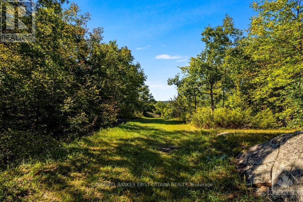 16 GREY OWL ROAD