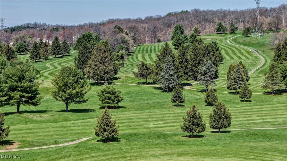 1130 Meadowbrook Lane NE