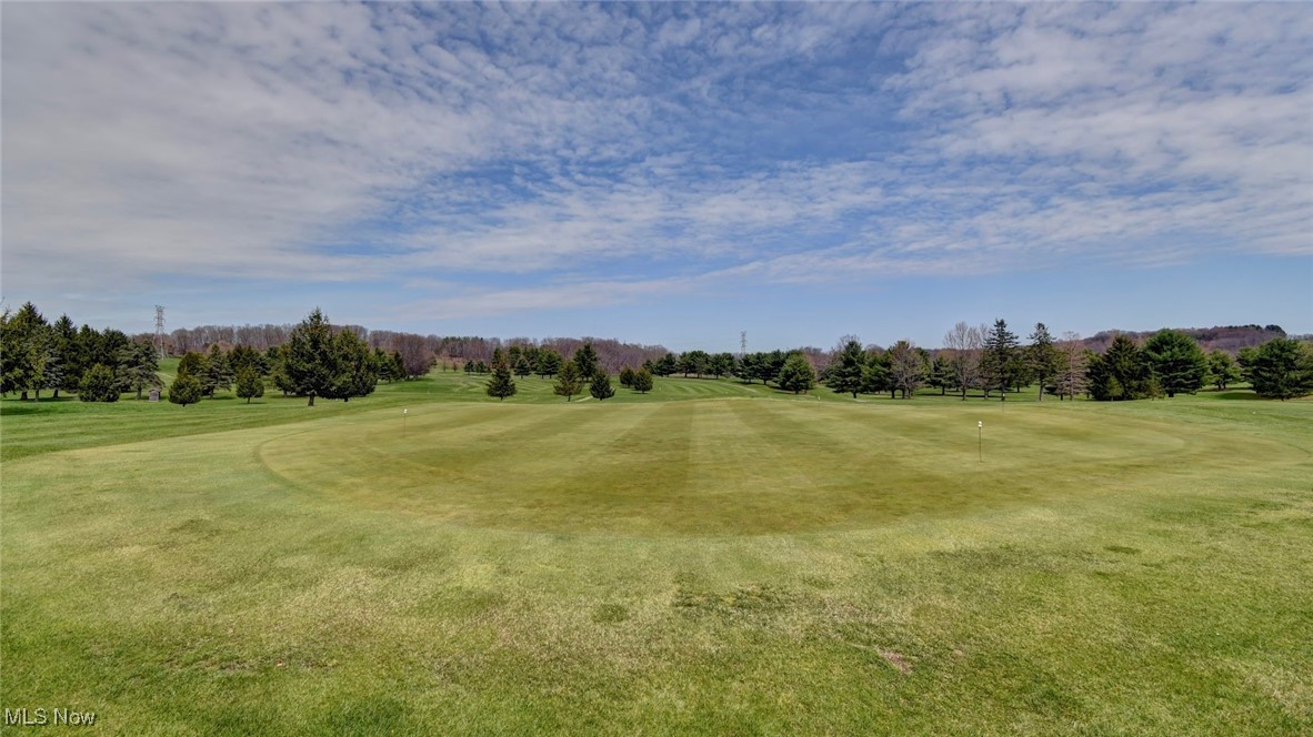 1130 Meadowbrook Lane NE