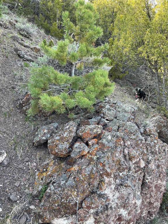 107 Dry Creek Trail