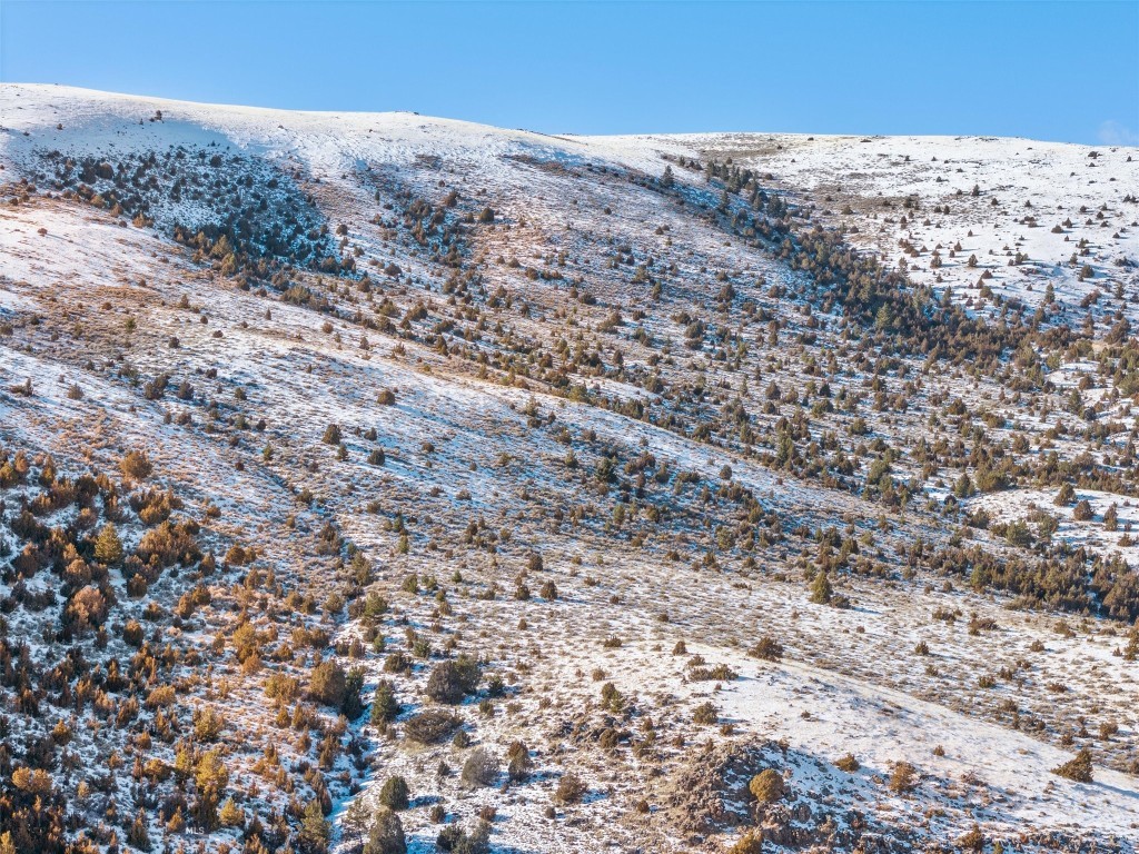 Lot 175 Shining Mountains