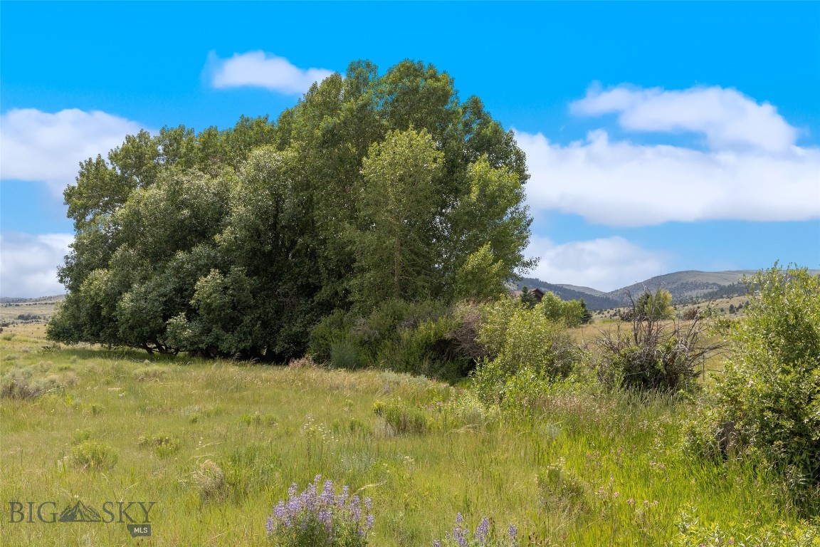 Lot 292 - Two Bumps Rd