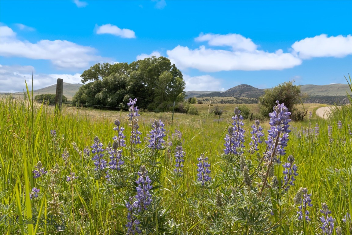 Lot 292 - Two Bumps Rd