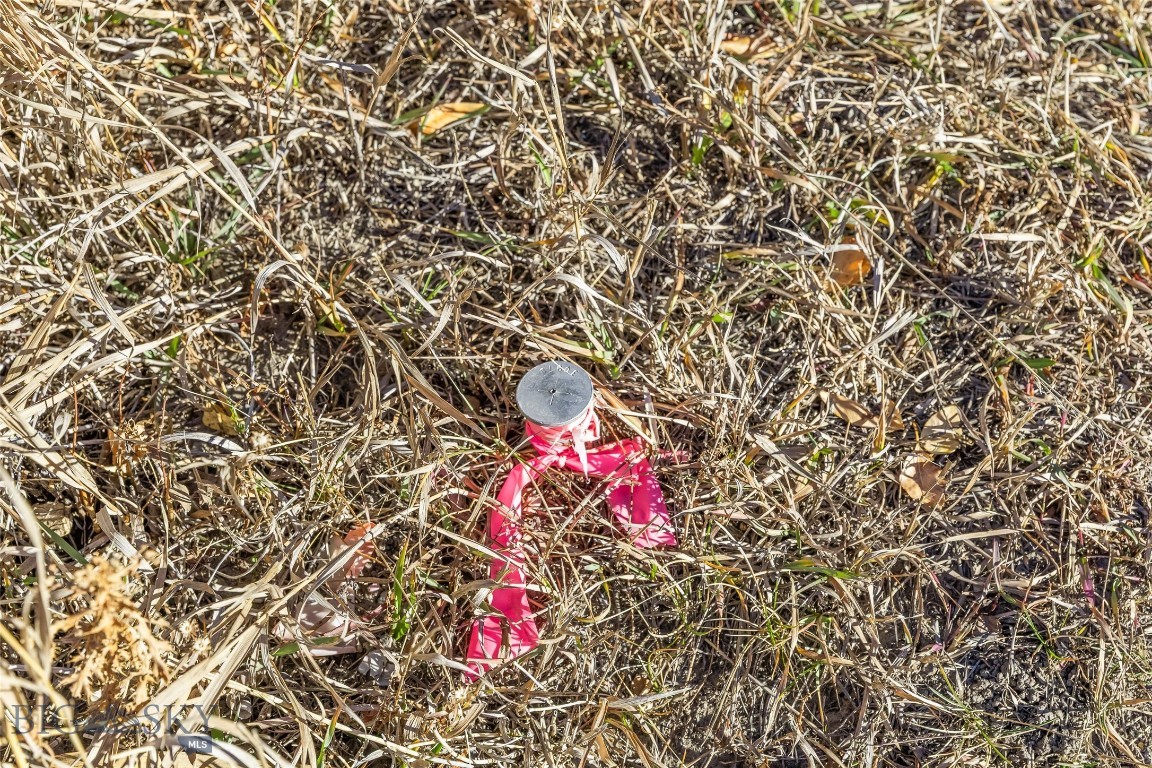 311 Jeffers Loop Road