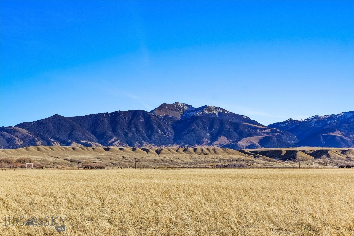 311 Jeffers Loop Road