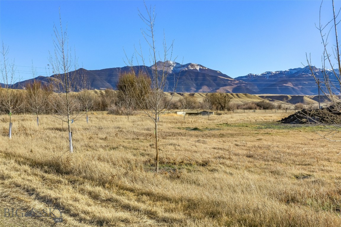311 Jeffers Loop Road