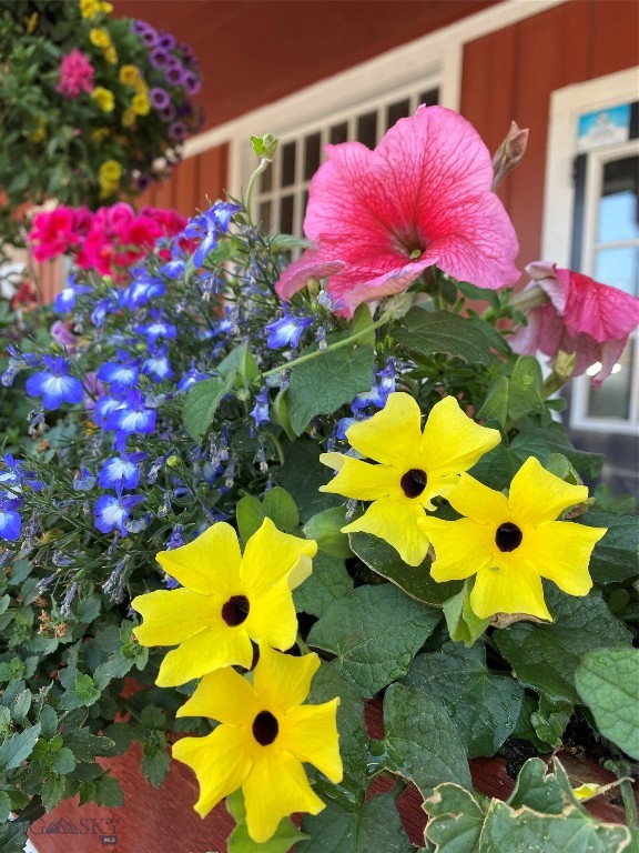 118 & 118 1/2 W Wallace Street