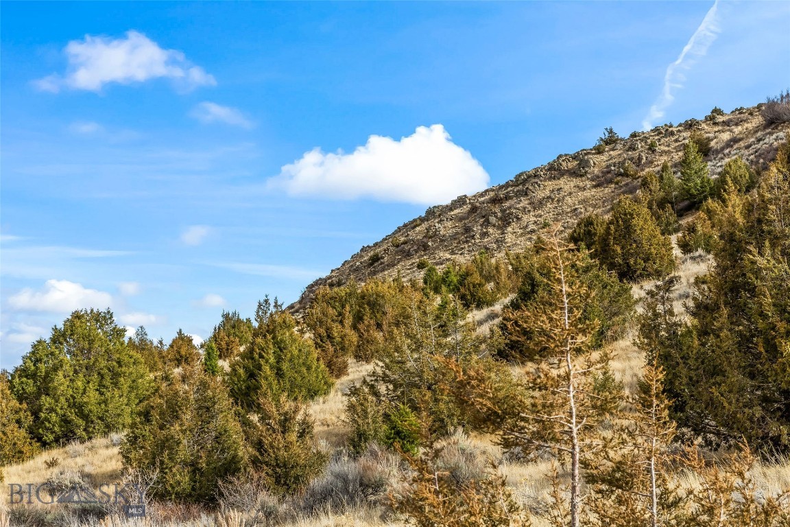 7 Cold Creek Loop Trail