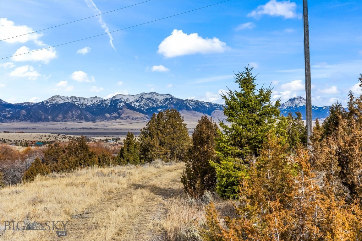 7 Cold Creek Loop Trail