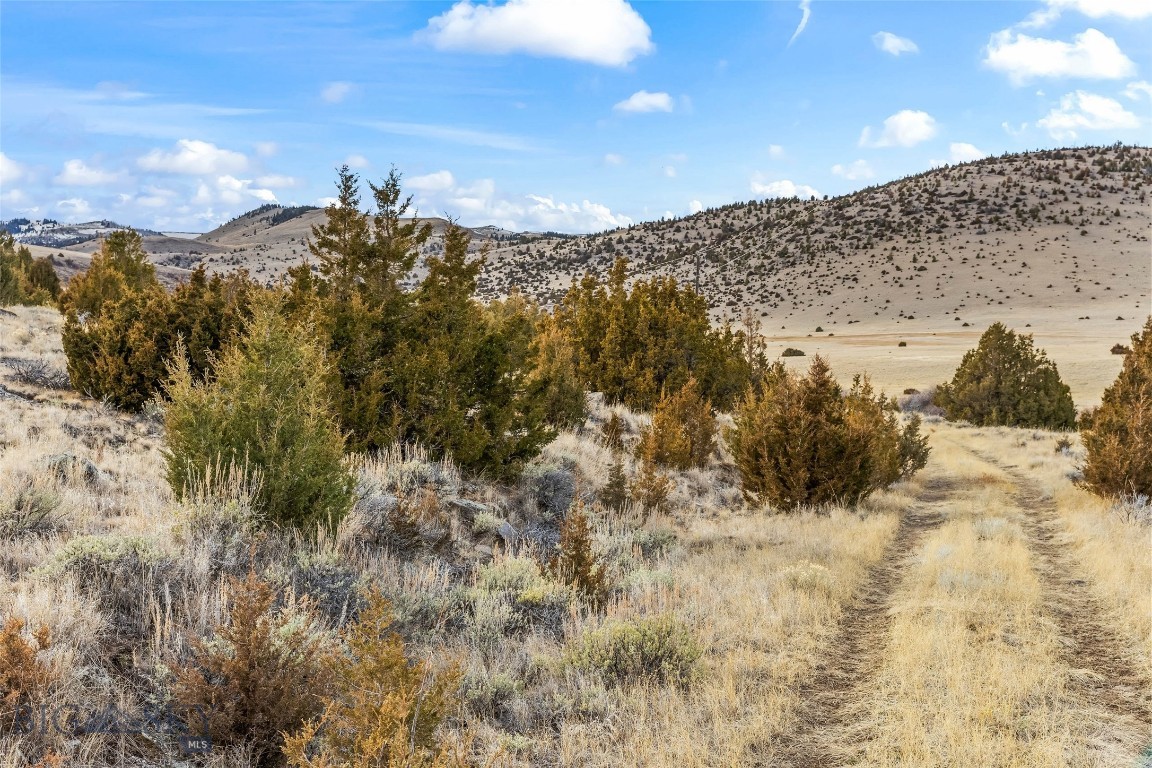 7 Cold Creek Loop Trail