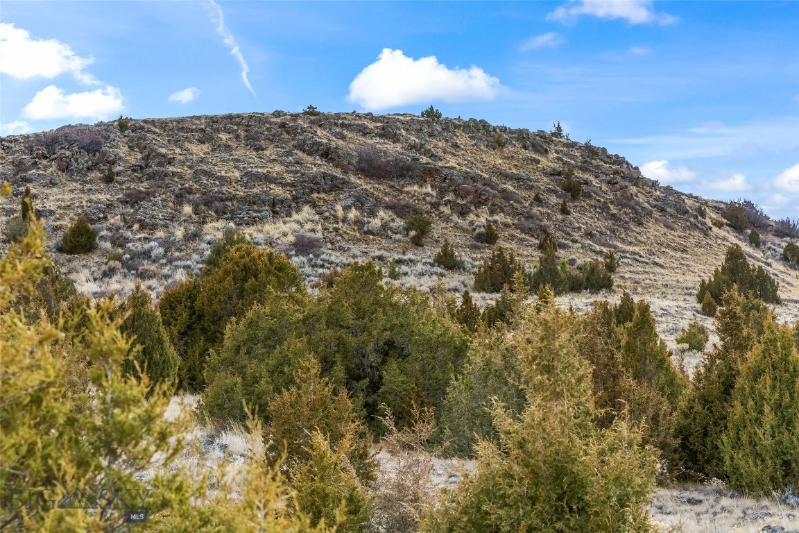 7 Cold Creek Loop Trail