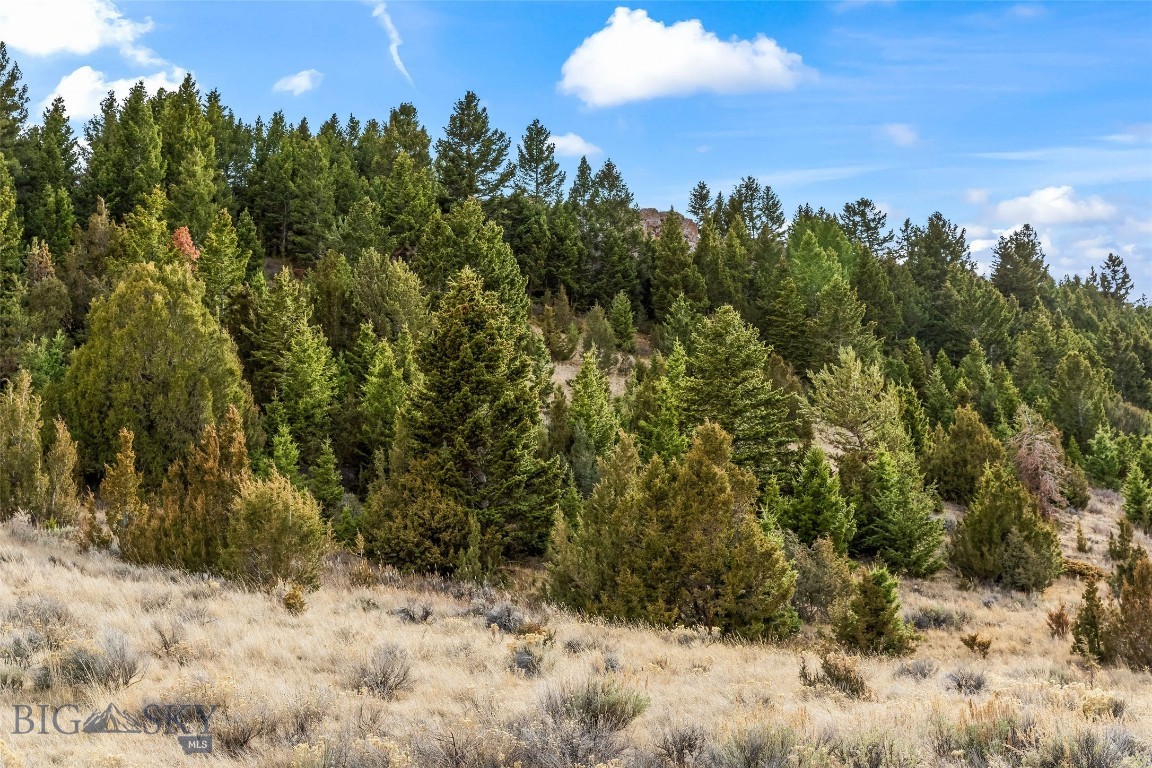 7 Cold Creek Loop Trail