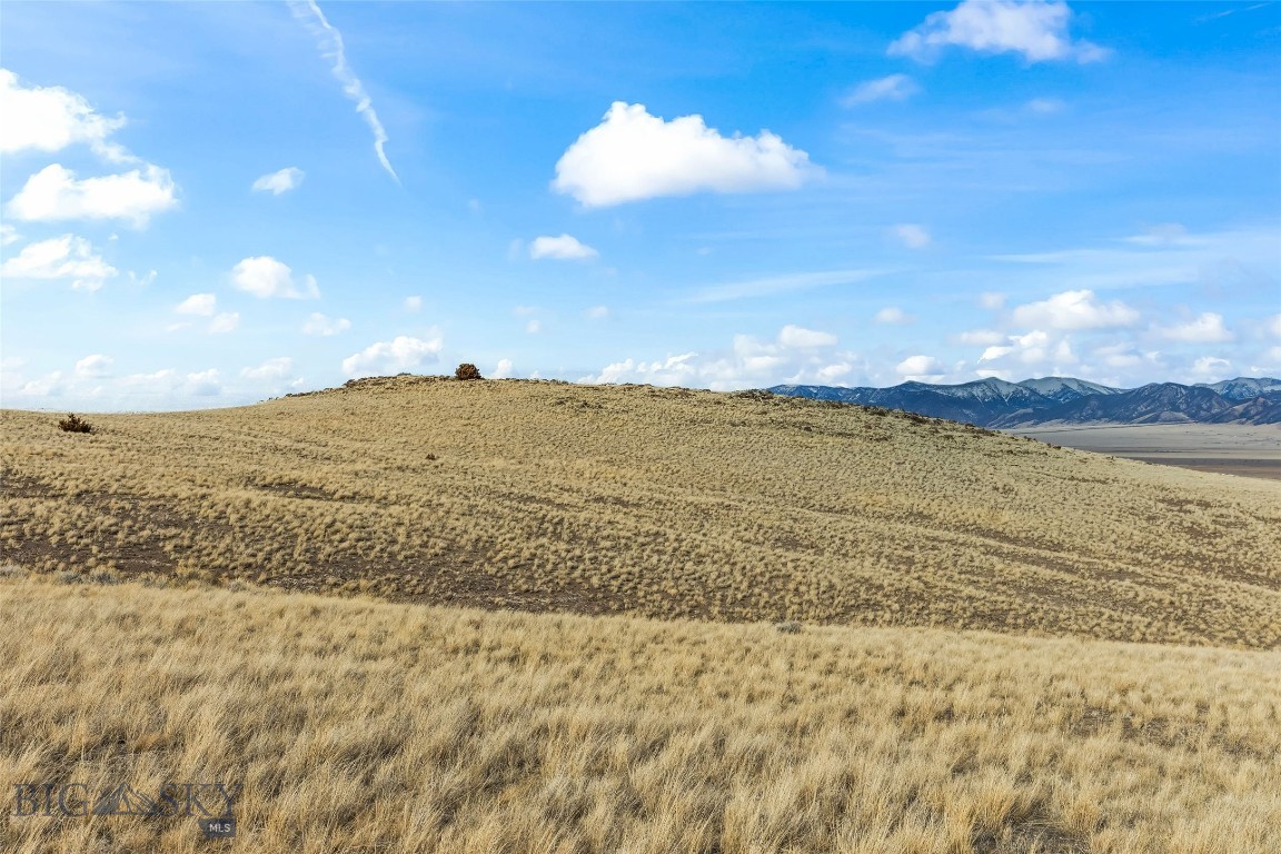 7 Cold Creek Loop Trail