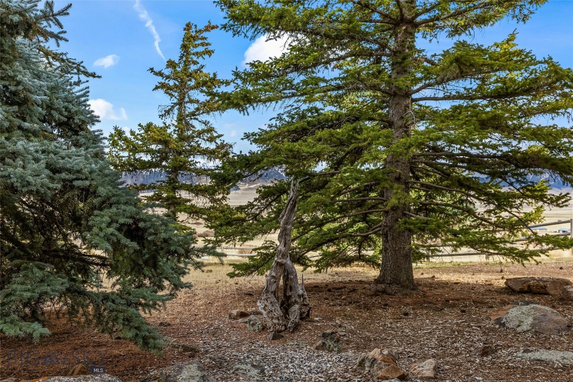 7 Cold Creek Loop Trail