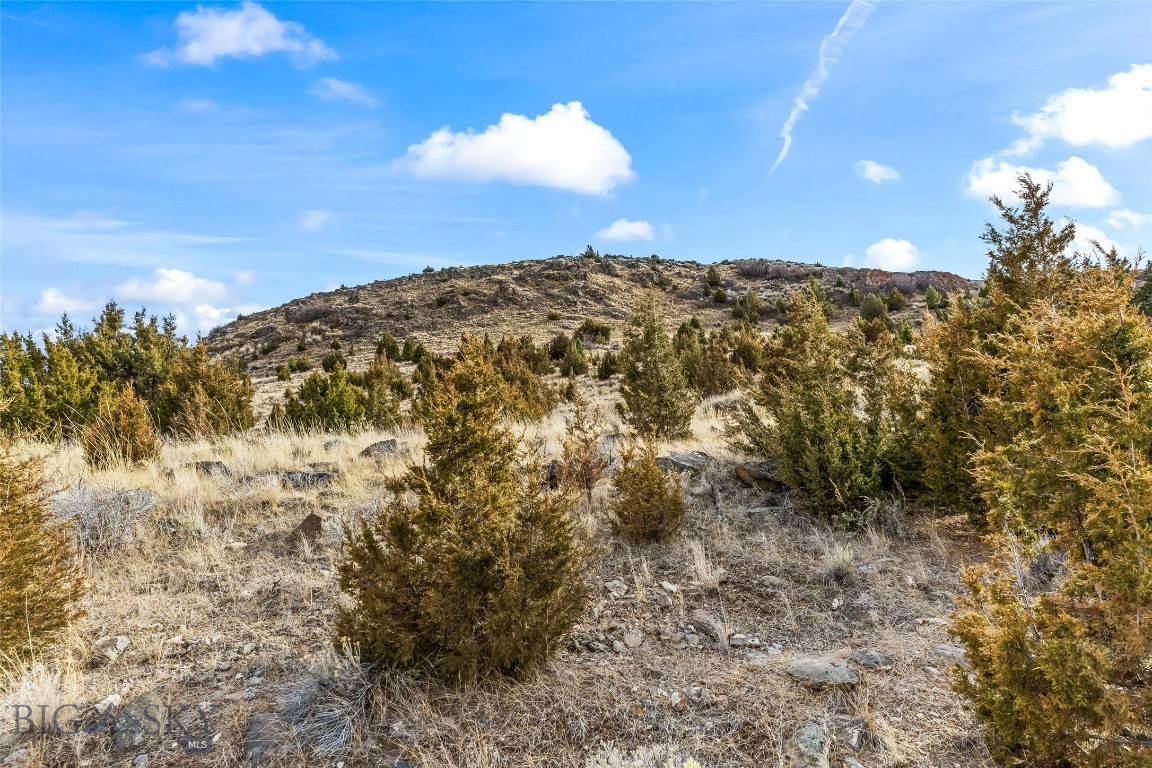 7 Cold Creek Loop Trail