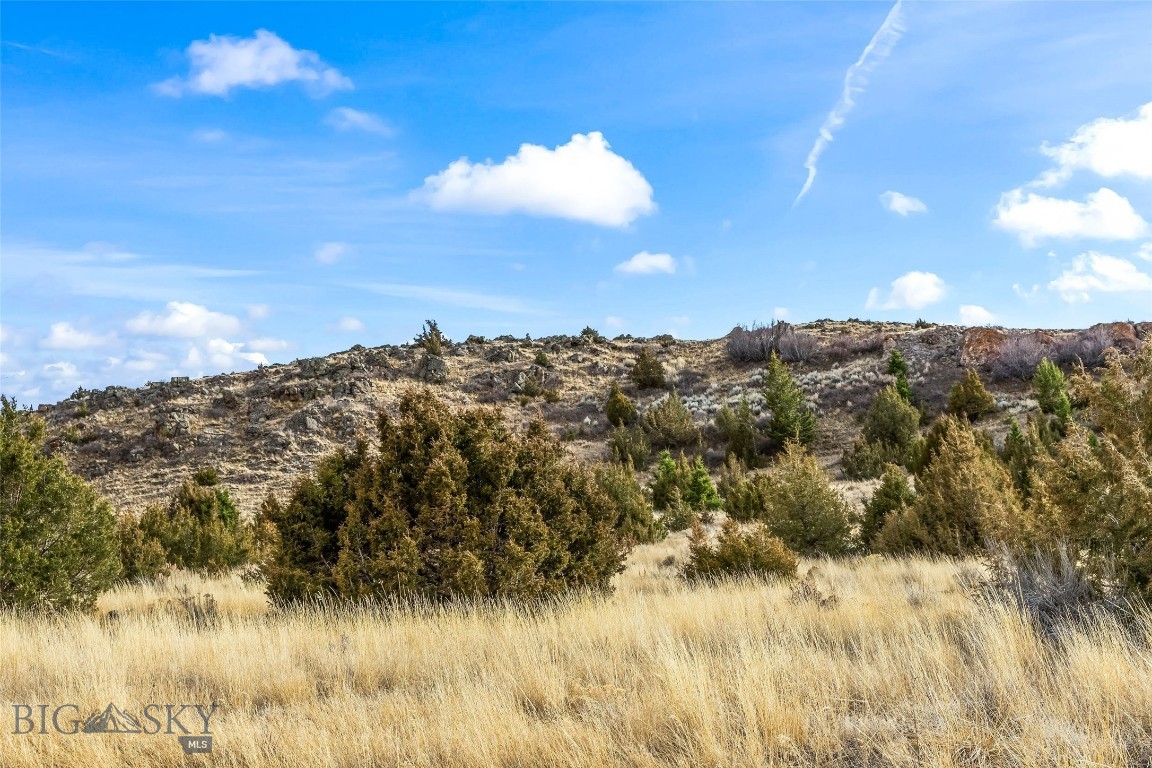 7 Cold Creek Loop Trail