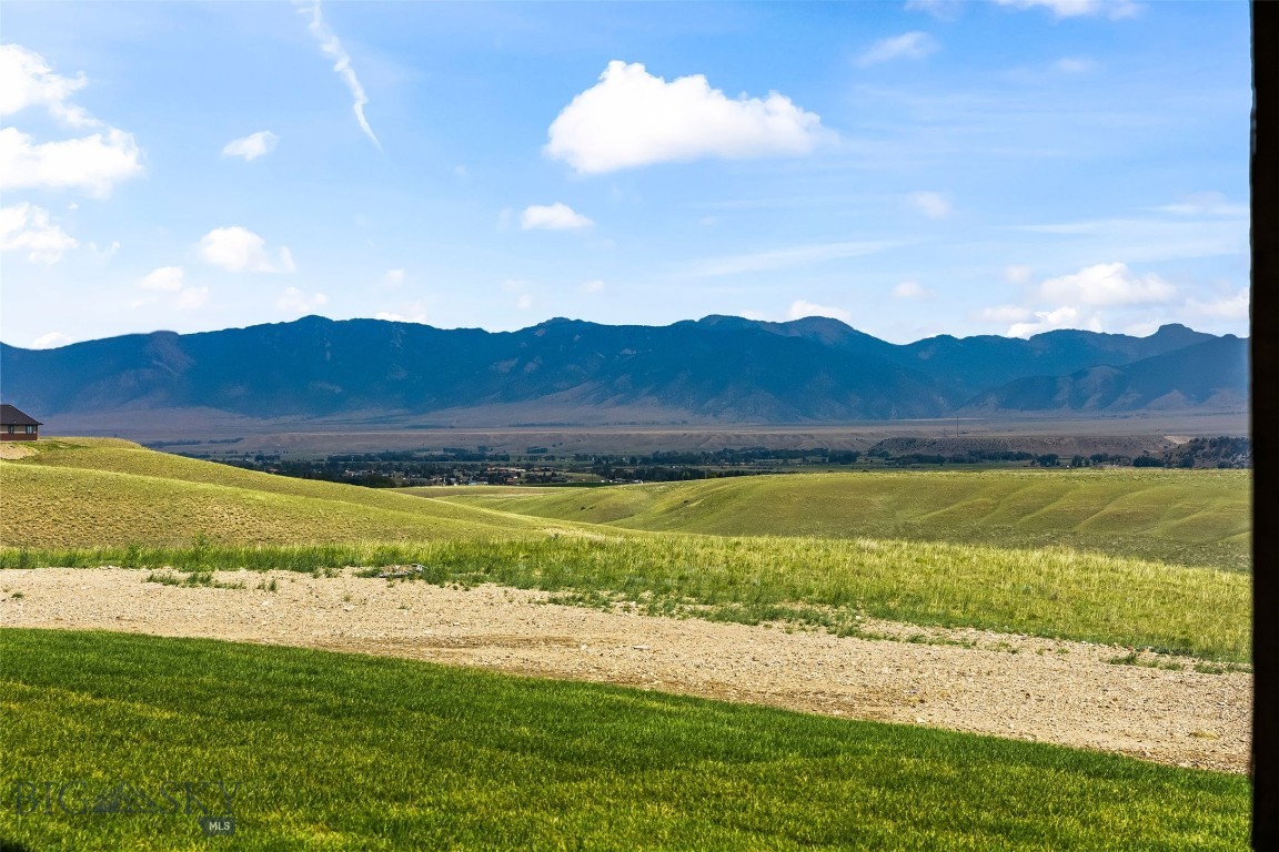 8 Viola View